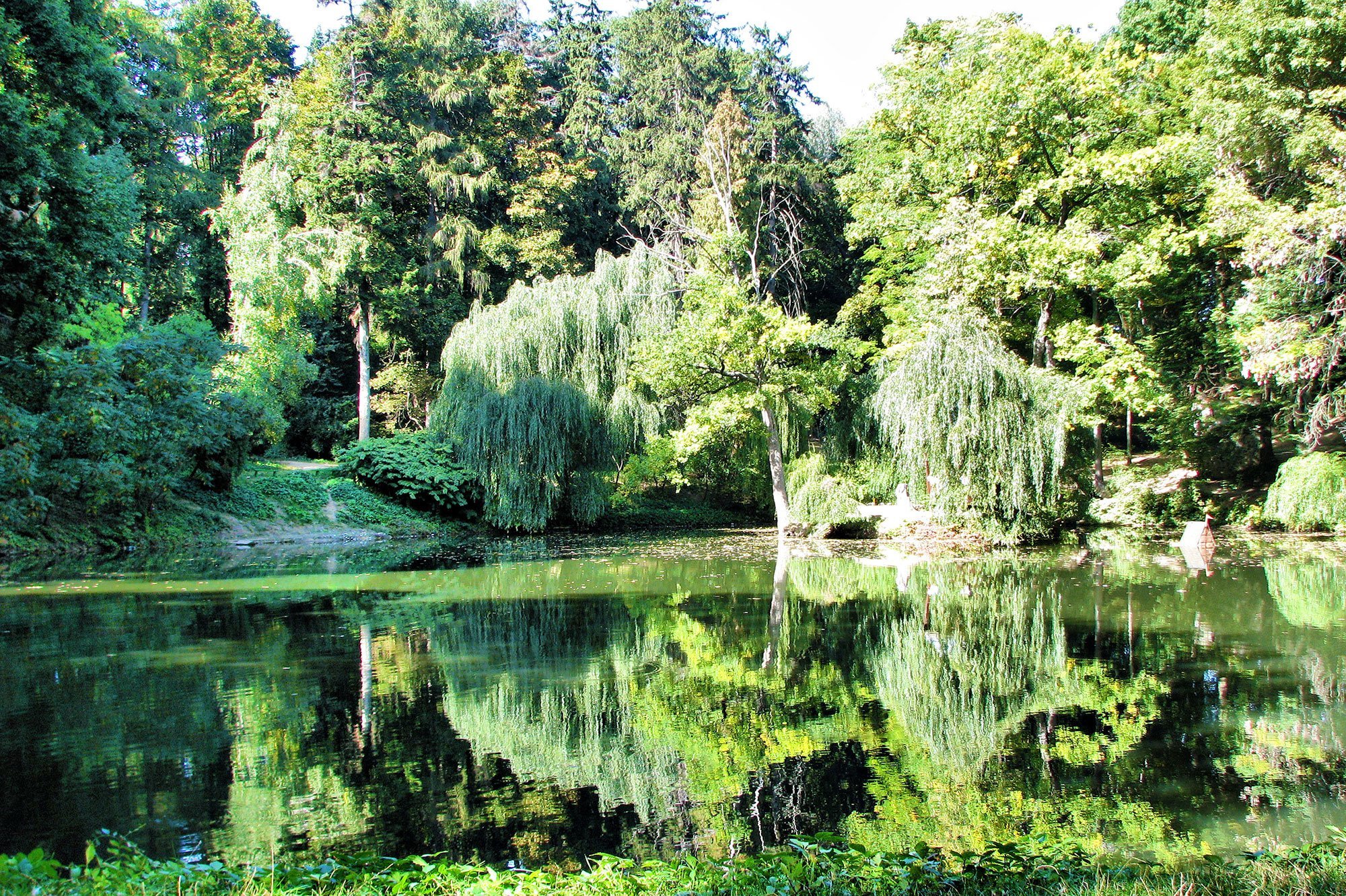 Дендропарк
